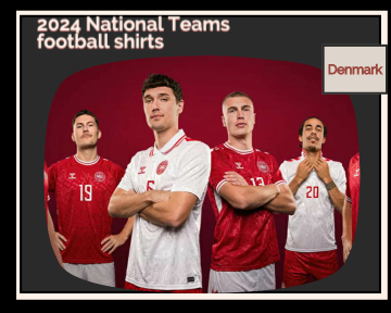 fake Denmark football shirts 23-24